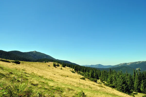 Äng i ukrainska berg — Stockfoto