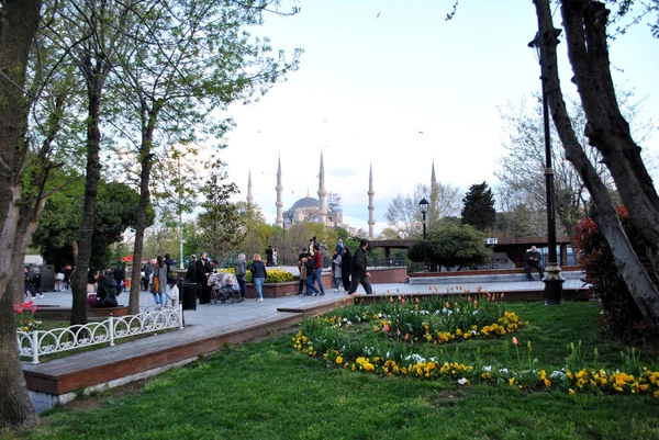 Grande Mosquée Sur Vue Istanbul — Photo