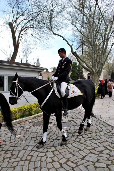 Patrol Police Horse Istanbul — Stock Photo, Image