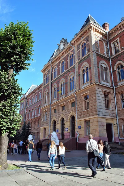 Rada města budova Černovice — Stock fotografie