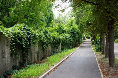 Şehirde bir yürüyüş yolu.                   