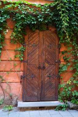 Lviv şehrindeki eski evin kapısı.