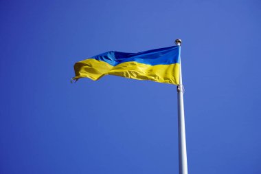 Ukrayna bayrağı rüzgarda dalgalanıyor. yüksek kaliteli fotoğraf.