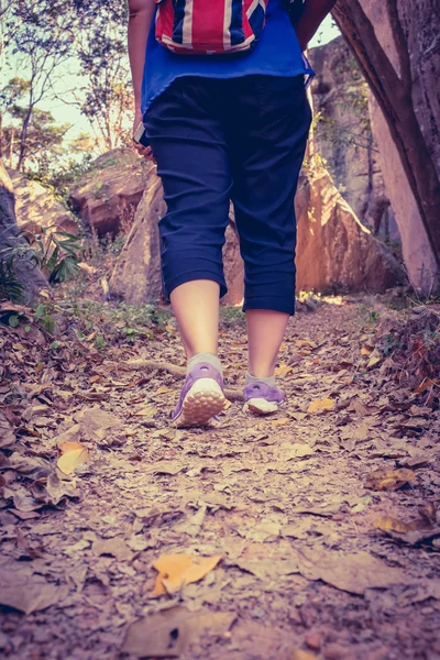 Powrót widzenia kobieta spaceru ćwiczenia w lesie, pojęcie zdrowia motywacyjne, na zewnątrz. — Zdjęcie stockowe