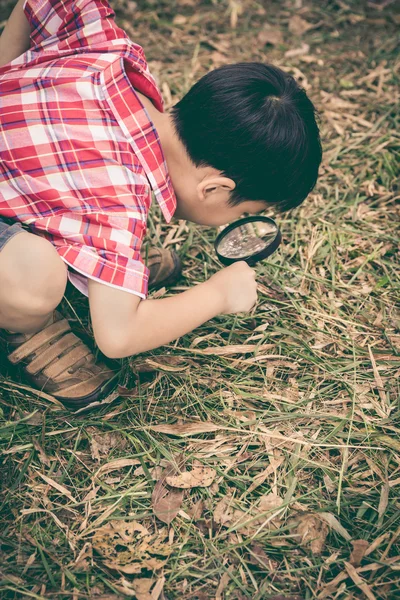 Jovem explorando a natureza com lupa. Ao ar livre. Vint... — Fotografia de Stock