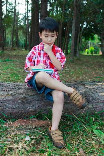 Volledige lichaam. Asisn kind attent op houten log in nationaal park — Stockfoto