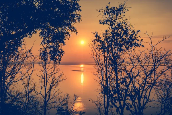 Silhouetten von Wäldern im Sommer bunten Sonnenuntergang. Zusammensetzung der Natur. — Stockfoto