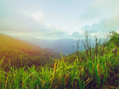 Sabah sisinde sallanan güzel dağlar. Doğal manzaranın görkemlisi. Doğadaki huzurun tadını çıkar..