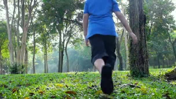 Criança Asiática Feliz Admirar Maravilhas Uma Natureza Beleza Floresta Verde — Vídeo de Stock