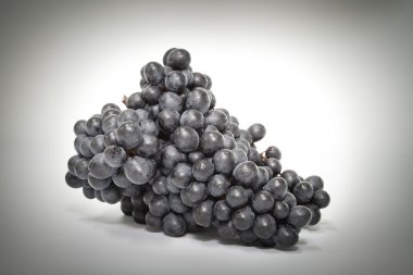 Taze siyah üzüm demet, siyah ve beyaz resim