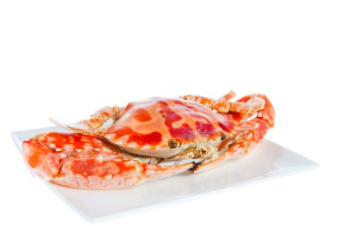 Mavi Yengeç, beyaz arka plan üzerinde izole