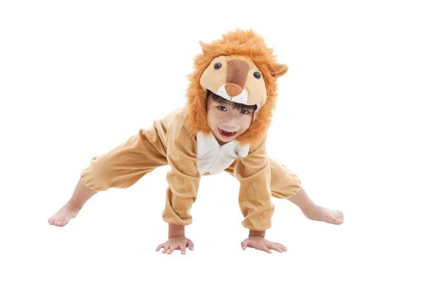 Cute little boy dressed in lion suit — Stock Photo, Image