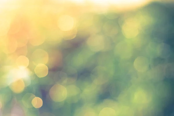 Twinkling lights vintage blurred natural bokeh — Stock Photo, Image