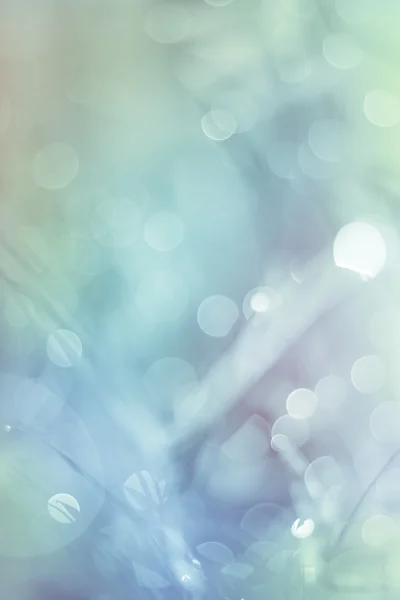 Twinkling lights blurred natural bokeh. Blur picture and soft co — Stock Photo, Image