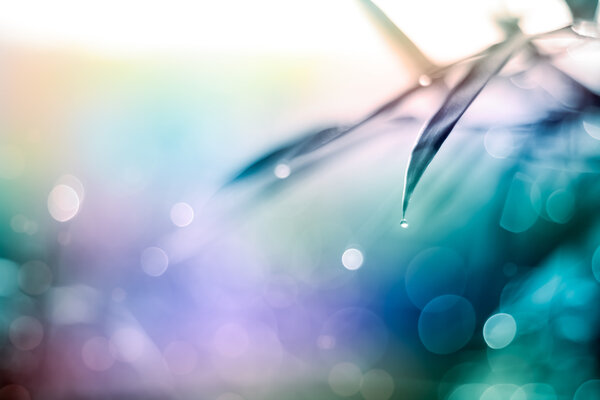 Twinkling lights vivid color blurred natural bokeh