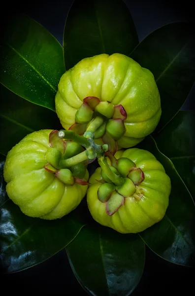 Top view with fresh garcinia cambogia on leaves background. — Zdjęcie stockowe