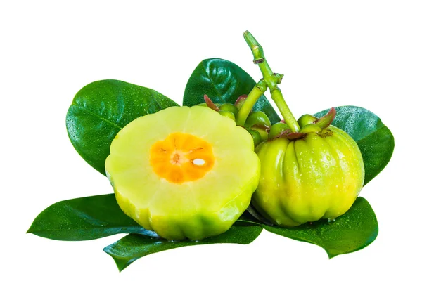 Garcinia cambogia fruits on leaves, isolated on white background — Stock Photo, Image