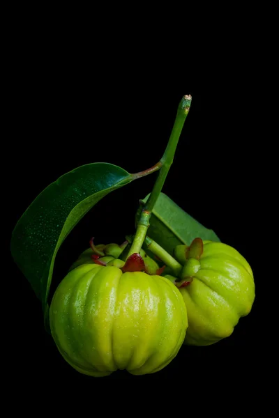 Închideți garcinia cambogia proaspăt peste fundal negru — Fotografie, imagine de stoc