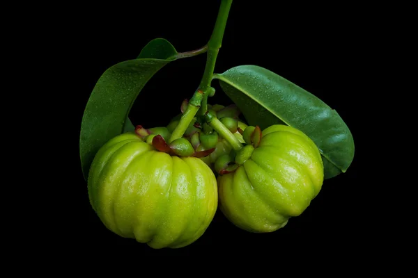 Közelről friss garcinia cambogia felett fekete háttér — Stock Fotó