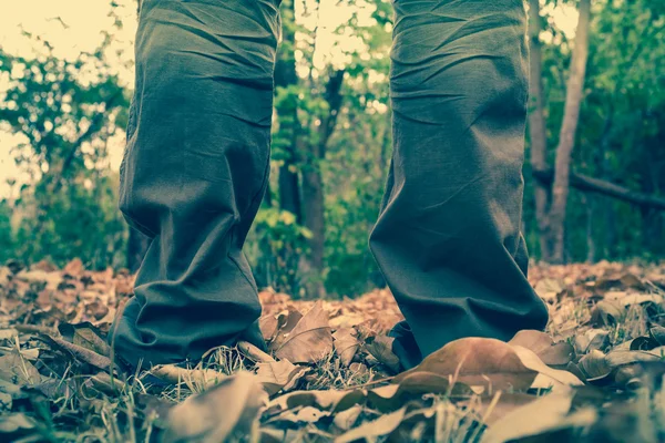 Cerca de las piernas del hombre de pie sobre hojas secas, fondo de la naturaleza . —  Fotos de Stock