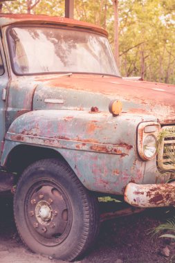 Terk edilmiş araba - yeşil orman eski paslı arabaya. Vintage resim stili
