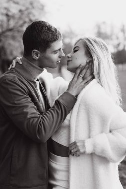 Sonbaharda parkta köpeklerle, Pomeranian 'lılarla gezen güzel bir çift.