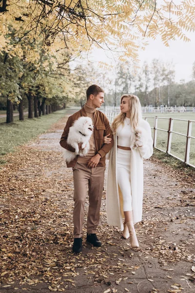 Belo Jovem Casal Passeios Outono Com Cães Pomeranian Parque — Fotografia de Stock