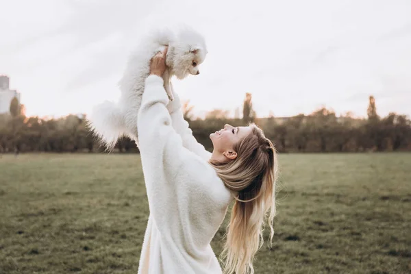 Sonbaharda parkta köpeklerle, Pomeranian 'lılarla gezen güzel bir çift.