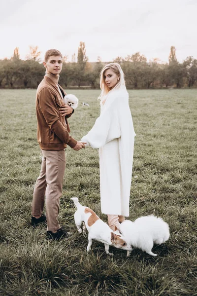 Hermosa Pareja Joven Otoño Paseos Con Perros Pomerania Parque —  Fotos de Stock