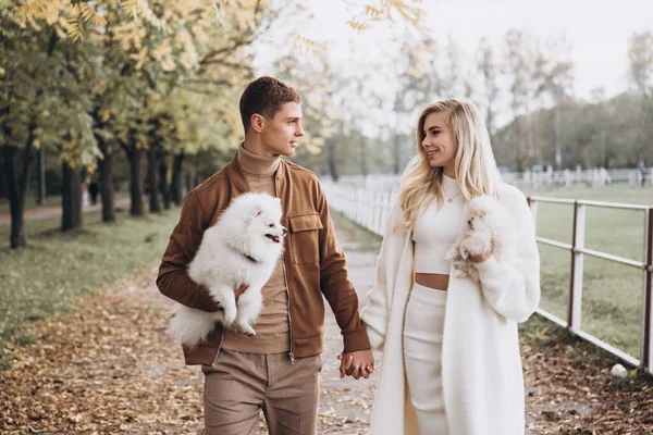 Belo Jovem Casal Passeios Outono Com Cães Pomeranian Parque — Fotografia de Stock