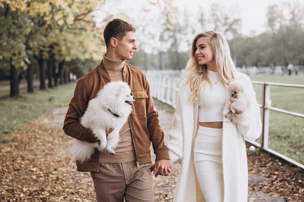 Sonbaharda parkta köpeklerle, Pomeranian 'lılarla gezen güzel bir çift.