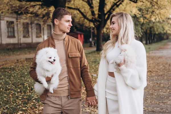 Belo Jovem Casal Passeios Outono Com Cães Pomeranian Parque — Fotografia de Stock