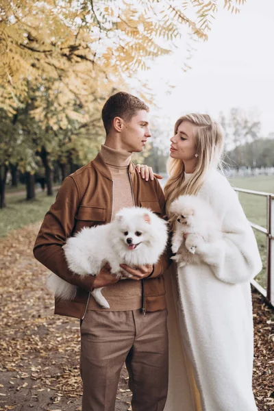 Schönes Junges Paar Herbst Spaziergänge Mit Hunden Pommern Park — Stockfoto