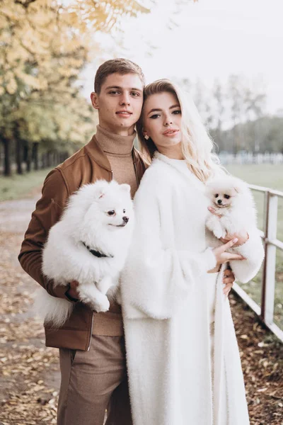 Mooi Jong Koppel Herfst Wandelingen Met Honden Pomeranian Het Park — Stockfoto