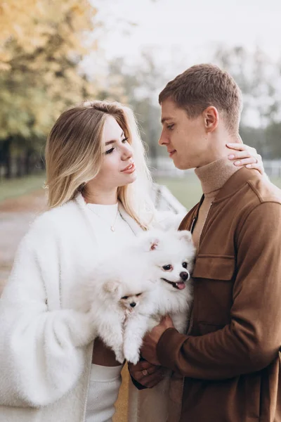 Hermosa Pareja Joven Otoño Paseos Con Perros Pomerania Parque —  Fotos de Stock