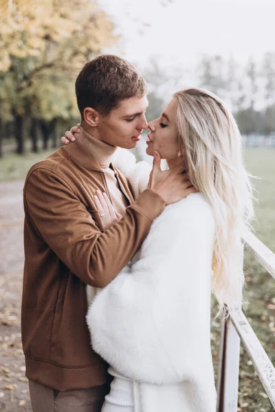 Sonbaharda parkta köpeklerle, Pomeranian 'lılarla gezen güzel bir çift.