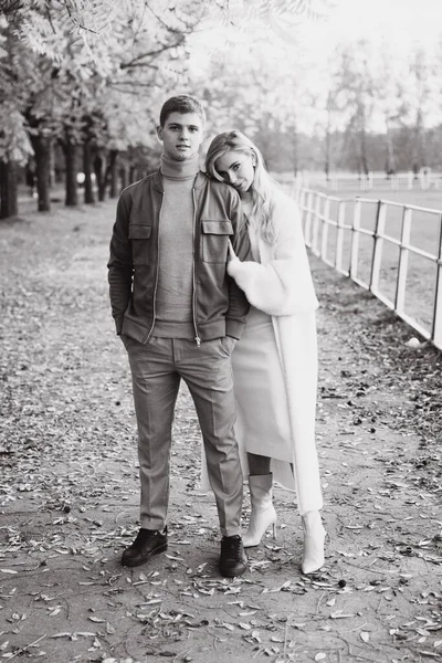 Beau Jeune Couple Automne Promenades Avec Des Chiens Poméranienne Dans — Photo