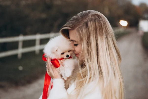 Sonbaharda parkta köpeklerle, Pomeranian 'lılarla gezen güzel bir çift.