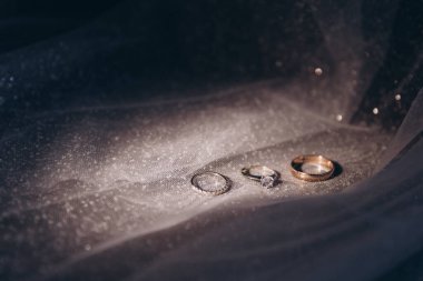Güzel, lüks altın ve gümüş alyanslar bir gelinlikte