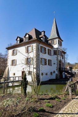 Entenstein, Schliengen 'de Kara Orman' da bir kale inşa etti.