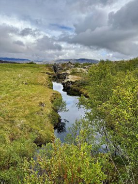Yaz aylarında İzlanda 'da çimen, çayır ve yansımalarla İzlanda dağı akıntısı