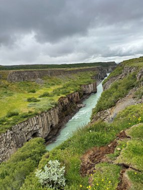 Yaz aylarında İzlanda 'da çimen, çayır ve yansımalarla İzlanda dağı akıntısı