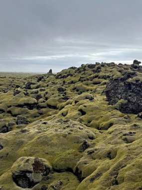 Yazın krater kenarında siyah lav bulunan İzlanda 'daki krater manzarası