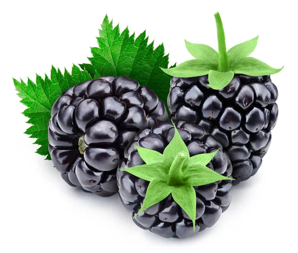 Perfekte Komposition Von Brombeeren Mit Blättern Brombeeren Mit Schnittpfad — Stockfoto