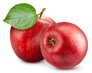 Yapraklı iki koca kırmızı elma.