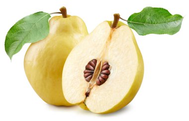 Yaprakları soyutlanmış bir ayva