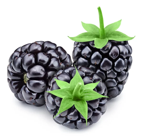 Blackberry berry isolado no fundo branco — Fotografia de Stock