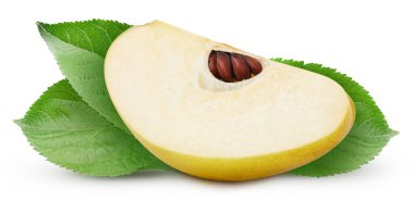 Olgun taze baldıran kesme yolu. Quince beyaz arka planda izole edildi. Ayva kırpma yolu