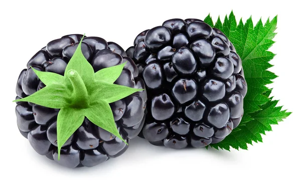 Mûre Aux Feuilles Blackberry Pleine Macro Shoot Ingrédient Alimentaire Sur — Photo