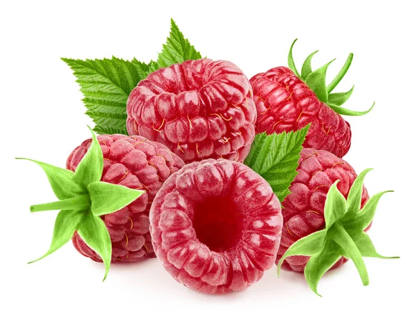 Raspberry Fresh Organic Raspberry Leaves Isolated White Background Raspberry Clipping — Stock Photo, Image